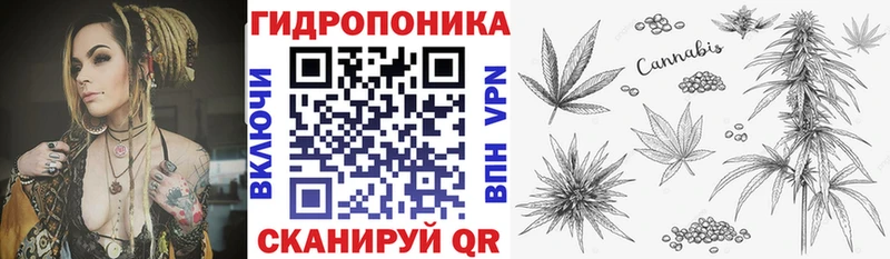 где купить наркотик  Архангельск  Бошки марихуана Amnesia 